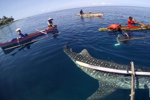  Genjot Pariwisata, Gorontalo Benahi Akses