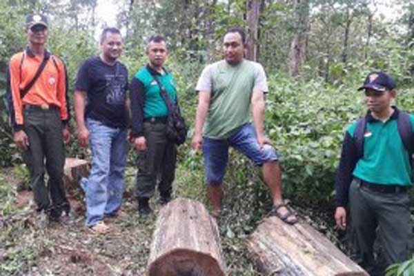  Komplotan Pencuri Kayu di Ponorogo Digerebek Polisi