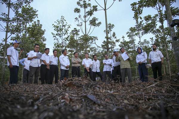  Ogan Komering Ilir Jadi Percontohan Restorasi Gambut