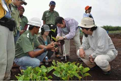  Restorasi Hutan Perlu Upaya Bersama