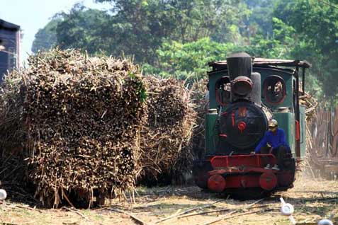  Perluas Kebun Tebu, PTPN XI Investasi Rp500 Miliar