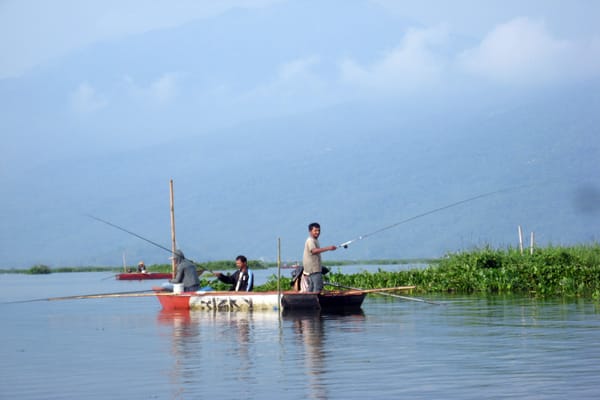  Kerusakan Danau Rawa Pening Jadi Perhatian Pemerintah