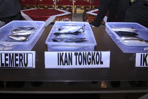  Temuan 5 Ton Ikan Berformalin Asal China