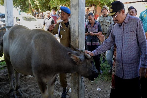  Gubernur Sumut : Benahi Pasar Ternak Aek Godang