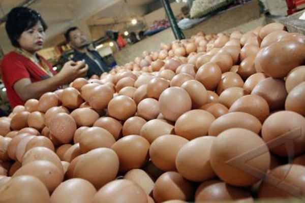  Harga Telur di Madiun Naik Bertahap, Kini Rp21 Ribu Per Kilogram