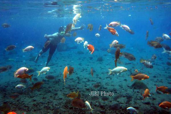  Ponggok Desa Wisata Terbaik Kategori Pemberdayaan Masyarakat