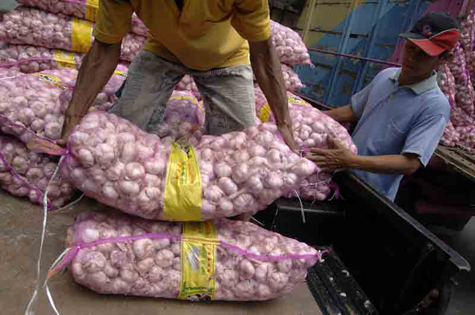  Penimbun 182 Ton Bawang Putih di Jakarta Digrebek Pagi Ini