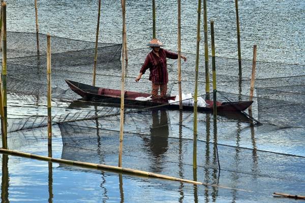  Kadin Minta Perbankan Gencarkan Kredit ke Perikanan