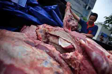  Bulog Sultra Kesulitan Distribusikan Daging Beku