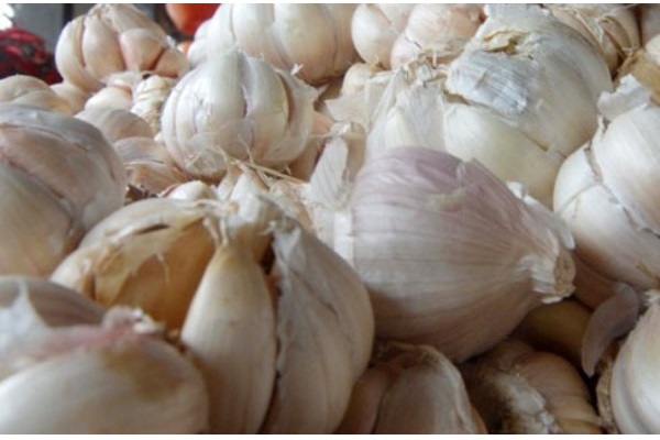  BAWANG PUTIH : 7.672 Ton Siap Didistribusikan