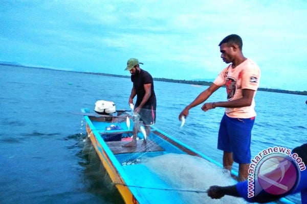  KEK Alor-Lembata-Flores Timur Didorong Jadi Prioritas Pembangunan