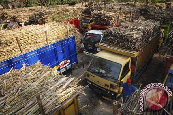  2017, Gendhis Multi Manis Siap Produksi 42 Ribu Ton Gula