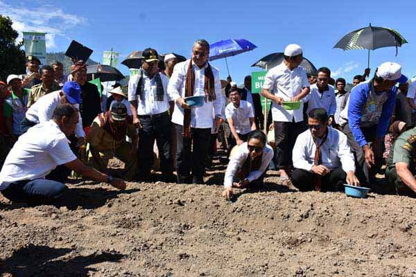  Mentan: 3 Tahun Lagi Indonesia Swasembada Bawang Putih