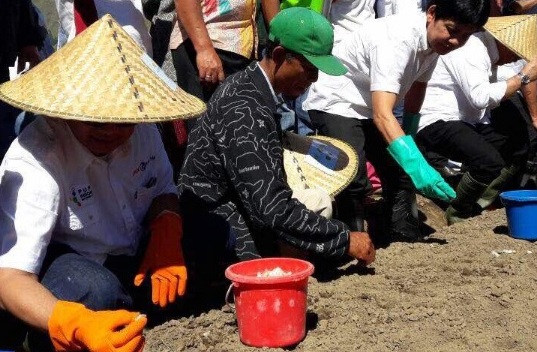  Pupuk Indonesia Kembangkan Budidaya Bawang Putih di Sembalun