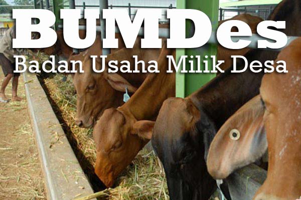  Bulog Targetkan Bentuk 136 PT Mitra BUMDes