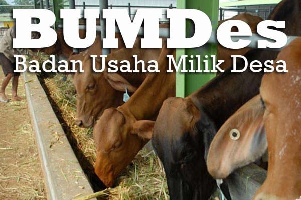  Gerakkan Ekonomi dari Desa, Disiapkan Holding Mitra BUMDes