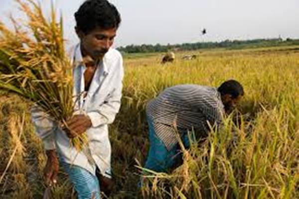  Bangladesh Berpuasa Ramadan Mulai Minggu