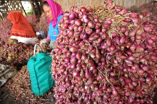  KEBUTUHAN RAMADAN: Bulog Pantau Harga Bawang Merah &amp; Bawang Putih