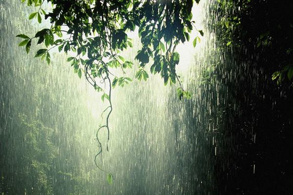  Diguyur Hujan Sejak Dinihari, Warga Rawang Padang Khawatirkan Banjir