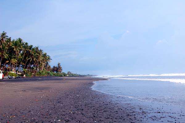  Laut di Gaza Sudah Tak Biru Lagi