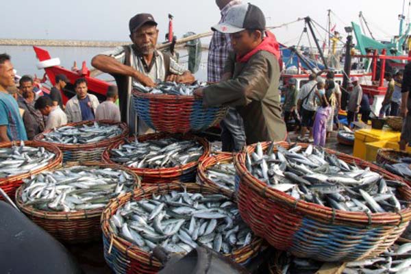  Aktivitas Pengangkutan Ikan Hidup Bakal Kembali Pulih