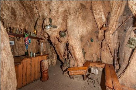 Baobab bar/Daily Mail