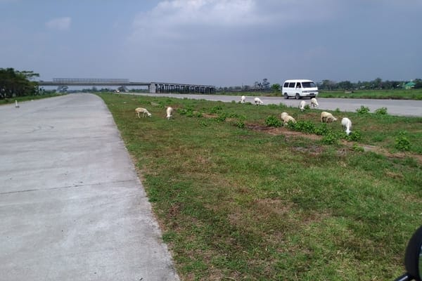  MUDIK LEBARAN, Jalan Tol Soker Perlu Disterilisasi