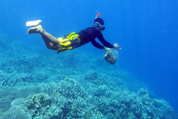  Sampah Plastik Ancaman Nyata Laut Indonesia