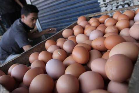  Telur Ayam Blitar Memasok Kebutuhan Pasar di Jember