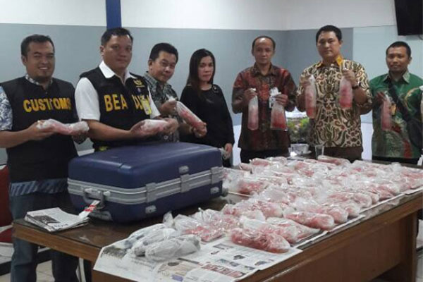  Bea Cukai Soekarno Hatta Ciduk Penyelundup 40.000 Benih Lobster