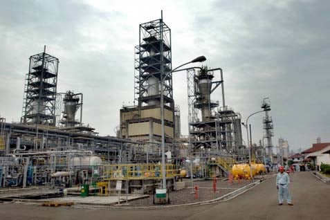  Investor Lirik Peluang Investasi Petrokimia Berbasis Gas