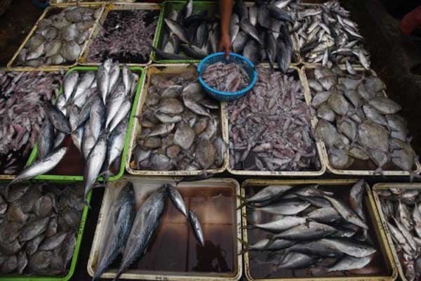  Daging Busuk & Ikan Berformalin Ditemukan di Pasar Kranggan