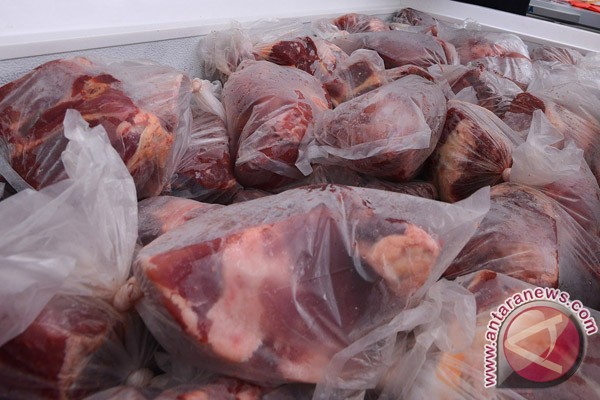  Antisipasi Permintaan, Bulog Kedu Menyiapkan Daging Kerbau Beku