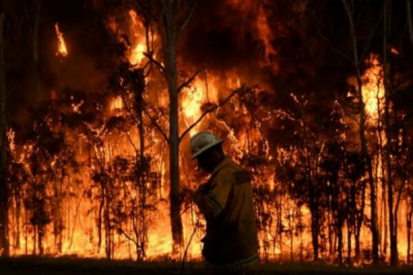  Kebakaran Hutan Tewaskan Sejumlah Pengendara di Portugal