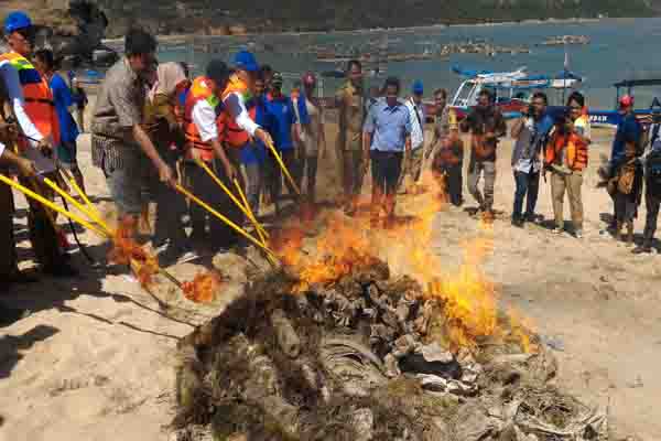  Janji Jadi Nelayan Budidaya, Eks Penangkap Lobster Bakar Pocongan