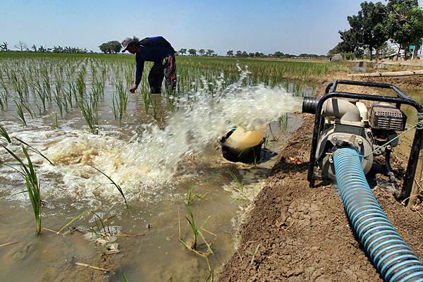  IRIGASI : Bendung Progo Pristan Mengairi 1.108 Hektare Lahan