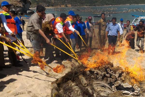  Alih Profesi Jadi Nelayan Budi Daya, Eks Penangkap Lobster Bakar \'Pocongan\'