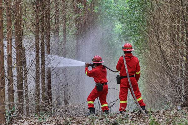  Kebakaran Hutan: Luas Areal Terbakar Menurun