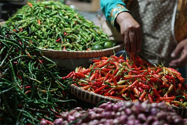  Asosiasi Pedagang Pasar Yakini Harga Cabai Segera Pulih