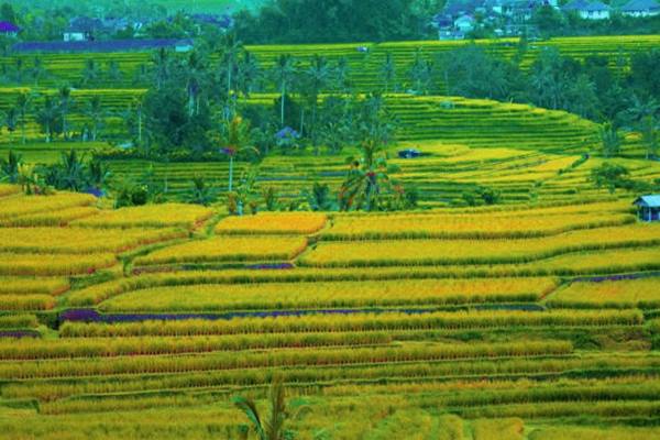  Bali, Destinasi Idola yang Tak Pernah Mati