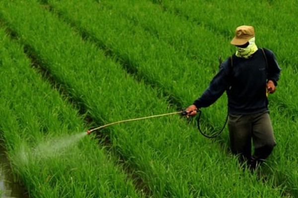  Produk Pestisida Monsanto Dilaporkan Mengandung Zat Penyebab Kanker