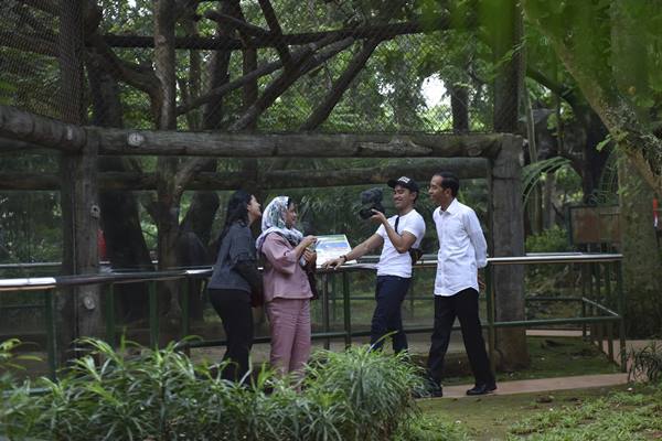  Kata Presiden Jokowi, Monyet-monyet di Ragunan Ceria