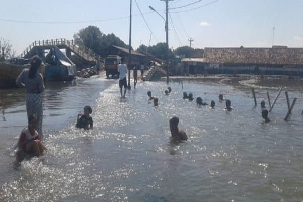  Banjir di Demak Dianggap Berkah, Udang Alasannya