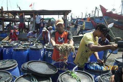  PENJARINGAN NELAYAN PESERTA ASURANSI : Jasindo Gencar di Jatim