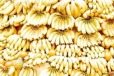 INVESTASI AGROINDUSTRI : Pemkab Blitar Janjikan Kemudahan