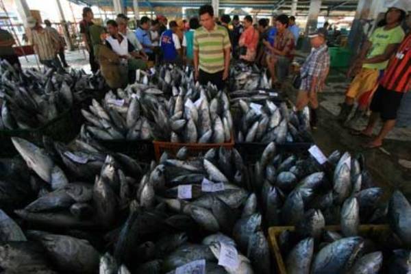  JALUR PENANGKAPAN BERUBAH, Pelelangan Ikan Pekalongan Terimbas