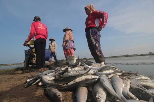  Susi Ungkap Modus Baru Pencurian Ikan Alih Muatan