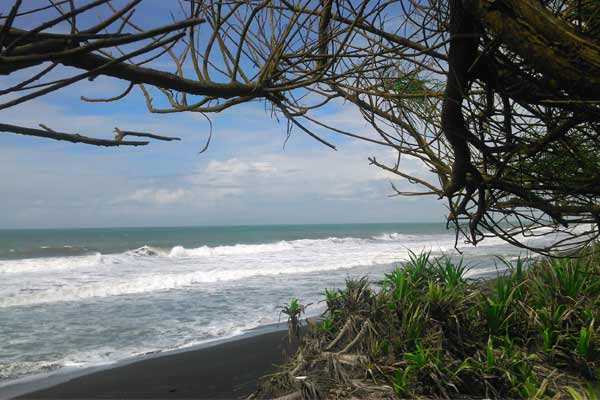  Berpanorama Indah, Pantai Bugel & Trisik Perlu Dikembangkan