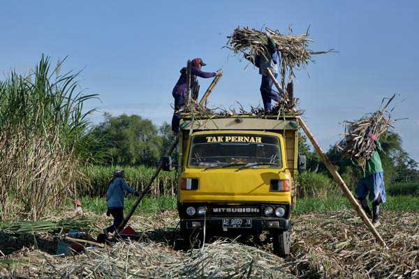  Omzet Kurang Rp4,8 Miliar Petani Tebu Dibebaskan dari PPN 10%