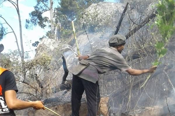  Balon Udara Picu Kebakaran Hutan Gunung Gede